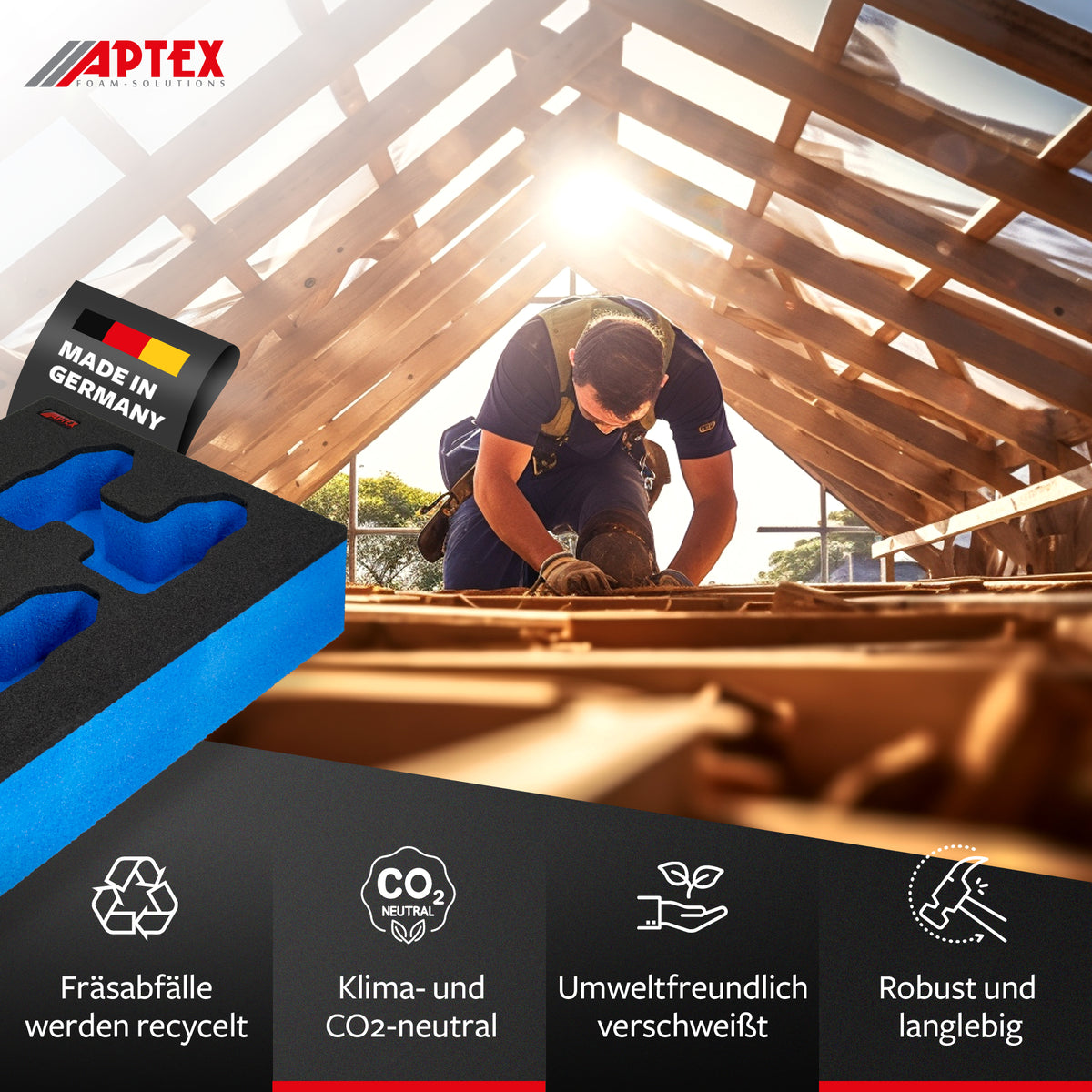 APTEX Bosch Akkus 12V 2Ah-3Ah Einlage für Bosch L-Boxx – Schaumeinlage – Made in Germany